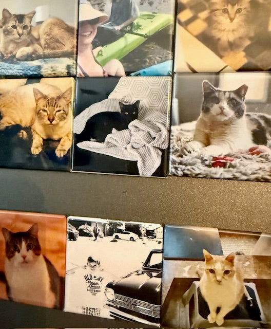 9 Custom Picture Magnet