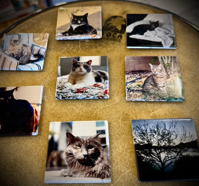 9 Custom Picture Magnet