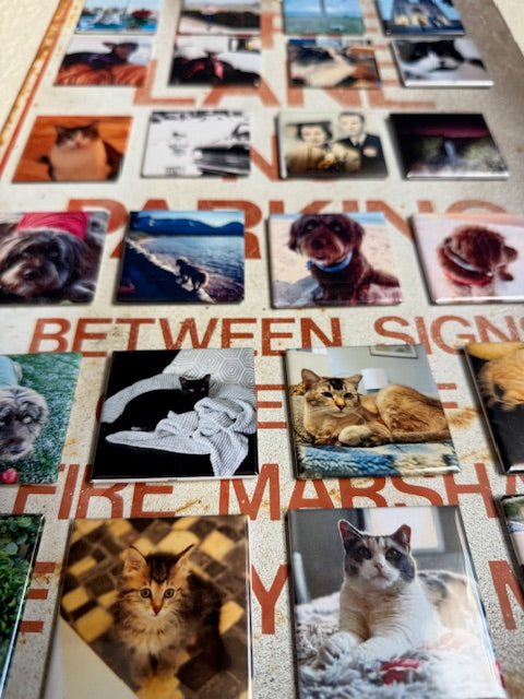 3 Custom Magnets * Starter Set * Your own photos *