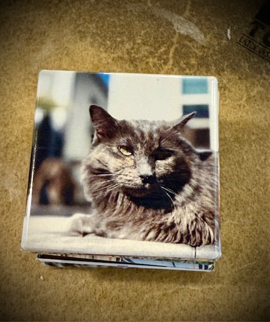 9 Custom Picture Magnet